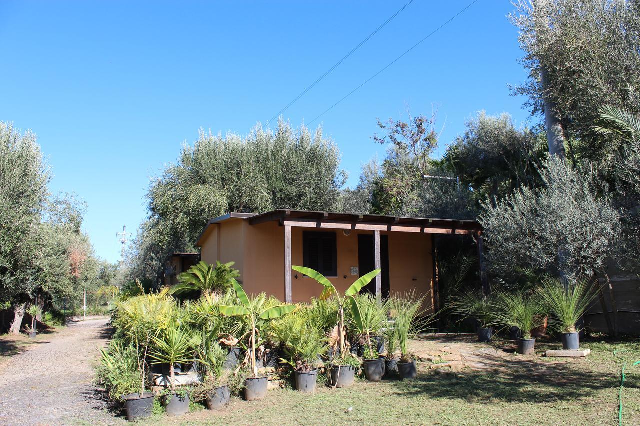 سانتا ماريا دي كاستيلاباتي Residence Serrone المظهر الخارجي الصورة